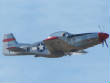 Mustang/Flying111.jpg