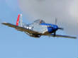 Mustang/T-51fly.jpg