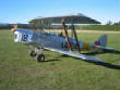 Tigermoth/IMG70746.JPG