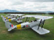 Tigermoth/IMG72166.JPG