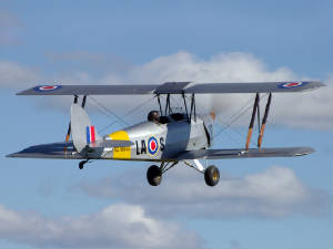 Tigermoth/imgp74187.jpg