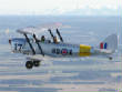 Tigermoth/imgp771252.jpg